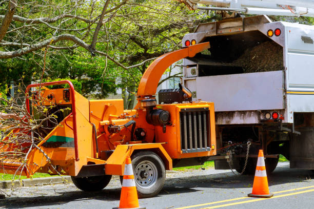 Best Utility Line Clearance  in Spirit Lake, ID